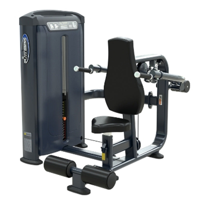 Triceps Exercise Machine by USA Proline